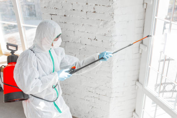 Best Industrial Mold Remediation  in Three Way, TN